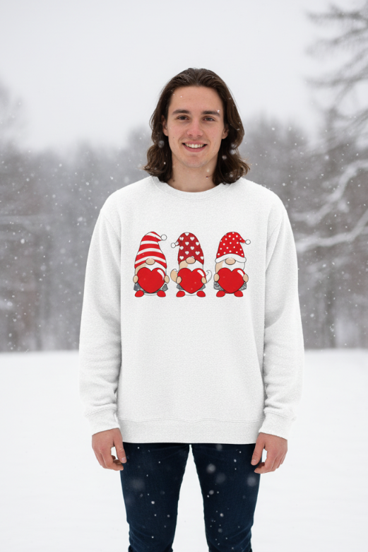 Heart warming Gnomes Valentine's t-shirt